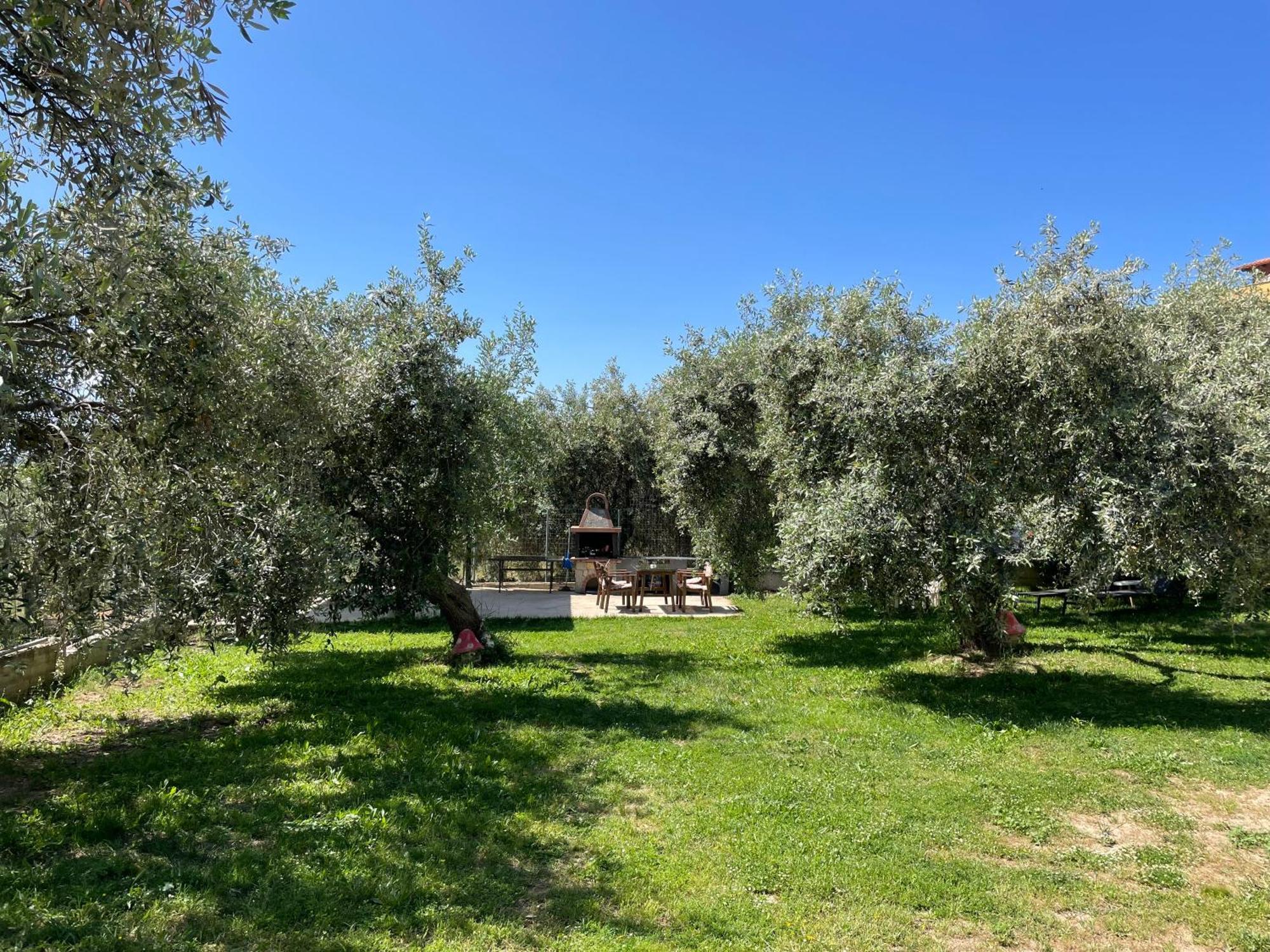 Discovery Villas Limenaria  Exterior photo